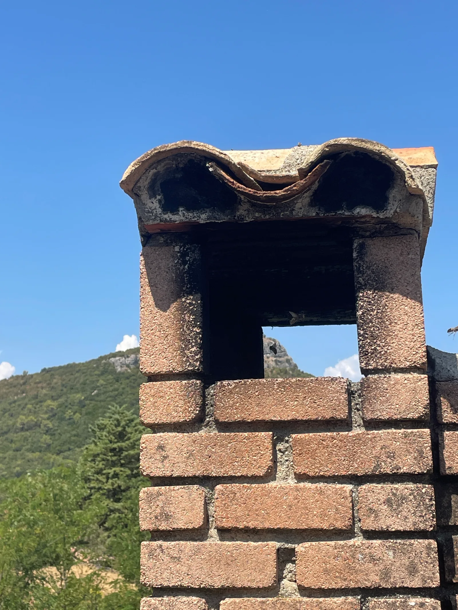 Destruction d'un nid de frelons en cheminée à Anduze — SOS Frelons Guêpes