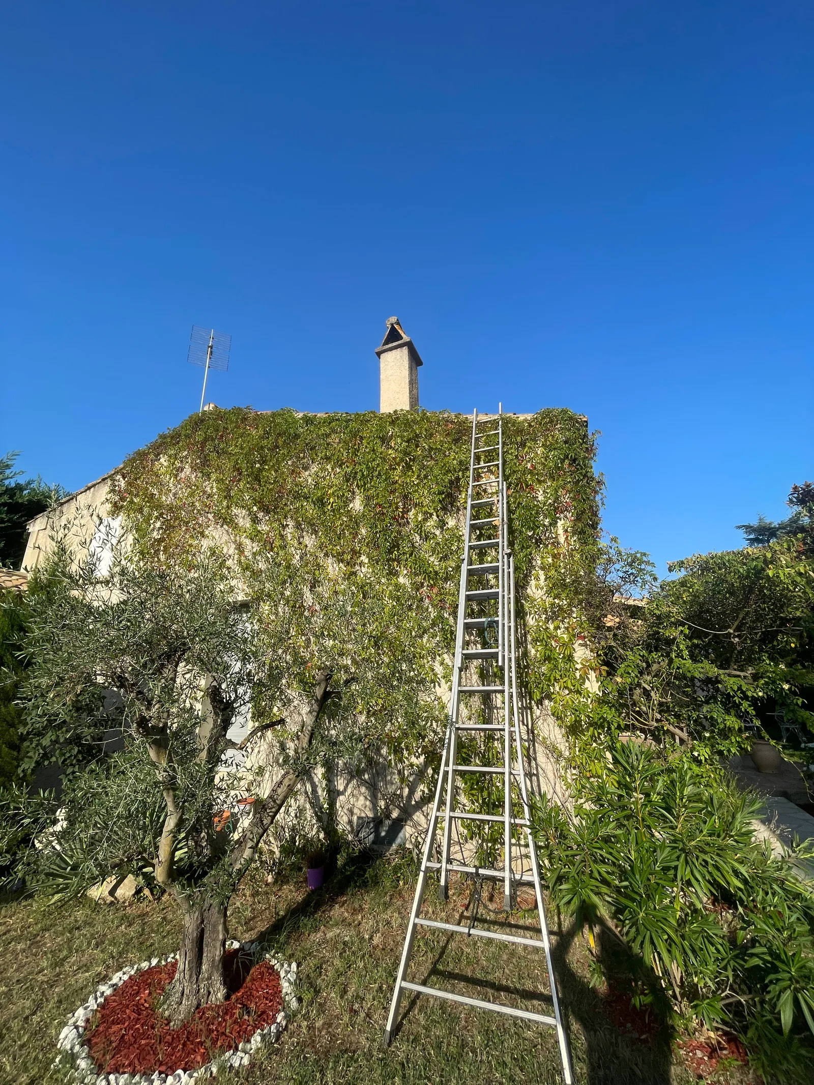 Destruction d'un nid de frelons en cheminée à Eyragues — SOS Frelons Guêpes