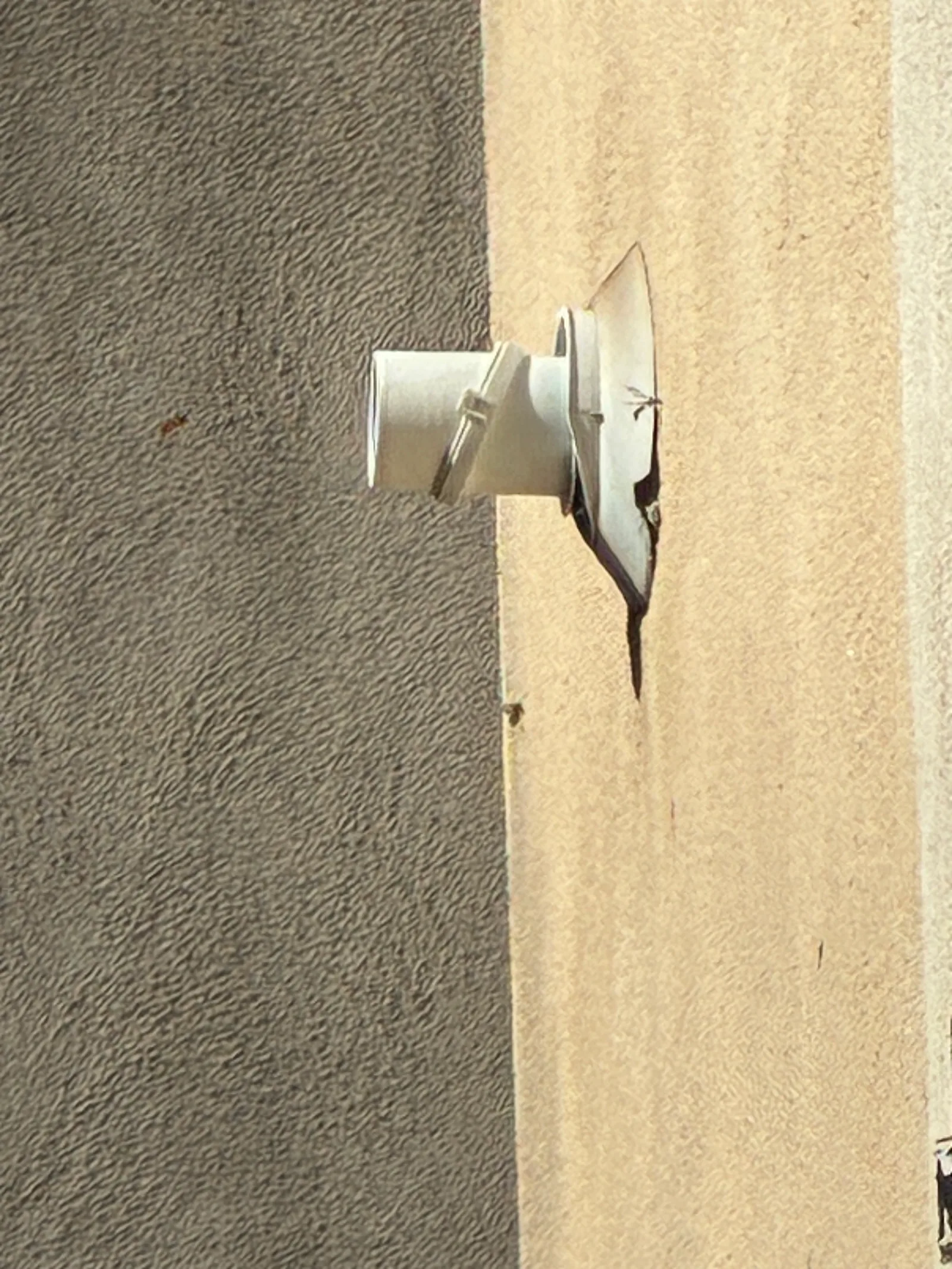 Destruction d'un nid de frelons ou guêpes à Uzès — SOS Frelons Guêpes